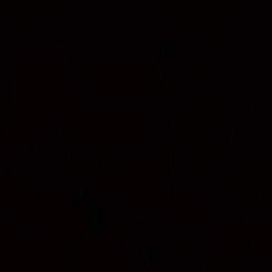 Meet your Posher, Rafael